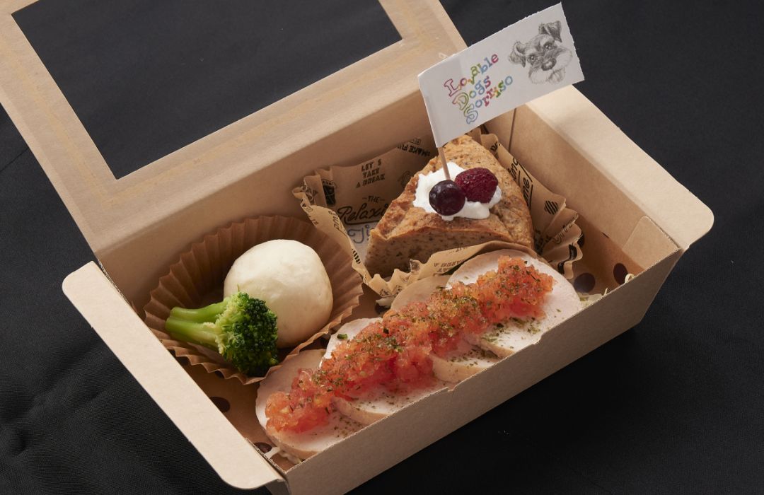 ワンコ弁当写真