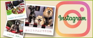 インスタグラムはコチラ